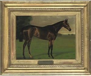 Cap And Bells Ii, By Domino Out Of Ben My Chree, Winner Of The Epsom Oaks