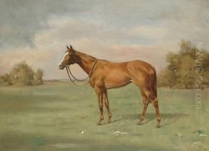 Portait Of A Chesnut Mare In A Landscape