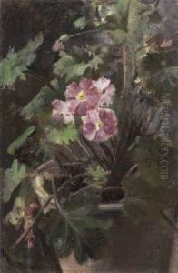 Vaso Di Primule by Ettore Cumbo