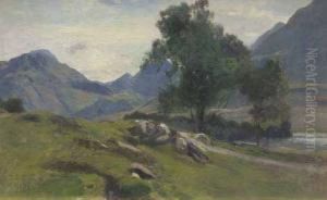 Scorcio Di Paesaggio Montano Con Alberi E Sassi