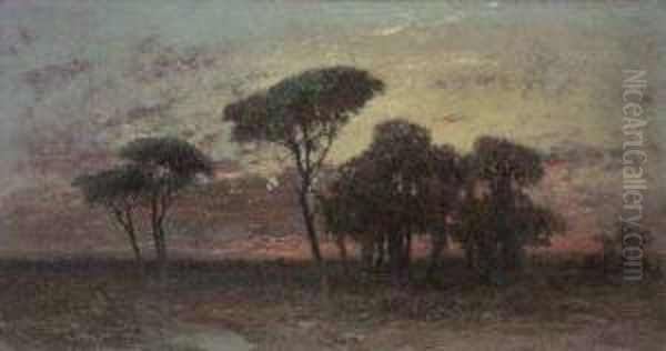 Tramonto In Pineta - view 1