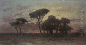 Tramonto In Pineta