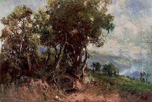 Paesaggio Montano Paesaggio Montano