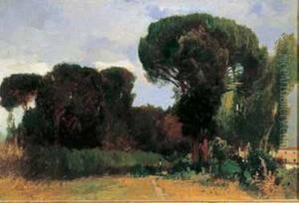 Paesaggio Con Alberi Sullo Sfondo - view 1