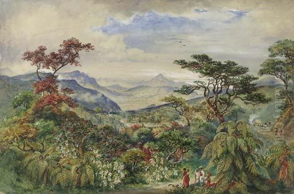 Ramboda Pass, Ceylon - view 1