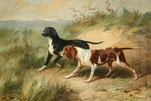 Two Dogs by Conradyn Cunaeus