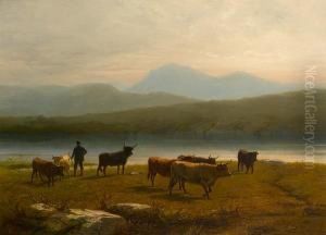 In The Highlands Of Scotland