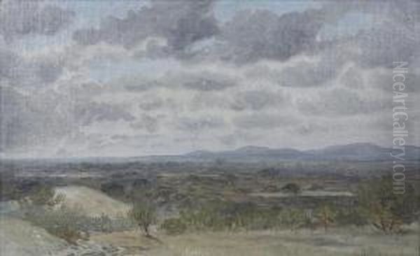 California Landscape - view 1