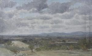 California Landscape