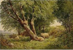 Sheep Grazing In Woodland by James Jackson Curnock