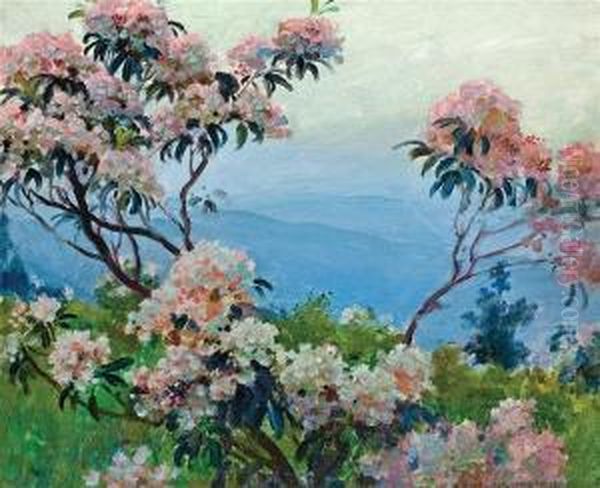 Laurel - view 1