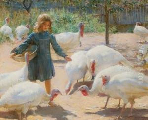 White Turkeys - view 1