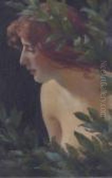 Wood Nymph Study - view 1