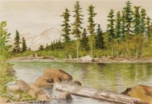 Northern California Landscape