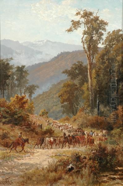 Bush Traffic - view 1