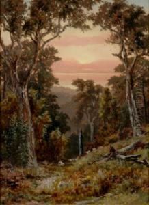 Settler On The Mitta Mitta by James Waltham Curtis