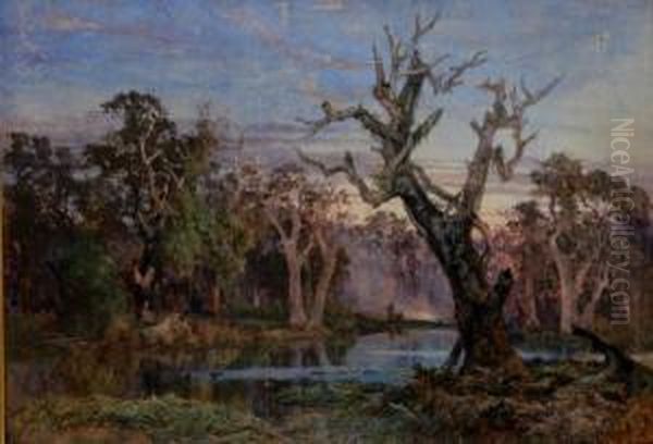 Lagoon In The Carrum Carrum Swamp - view 1