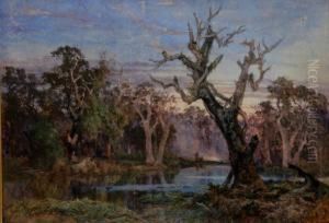Lagoon In The Carrum Carrum Swamp by James Waltham Curtis