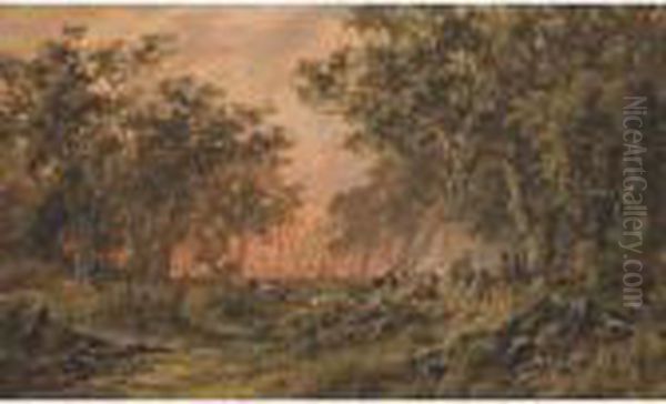 A Bushfire - view 1