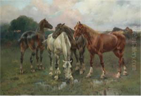 Caballos (horses) - view 1