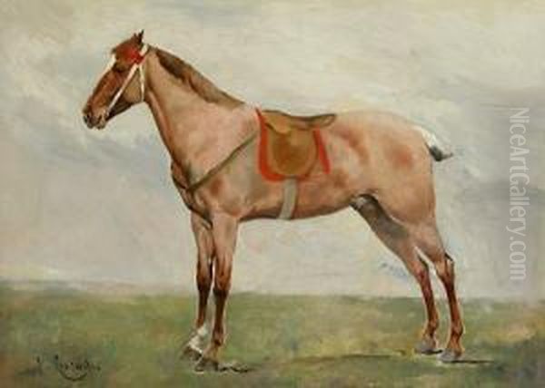 Caballo. - view 1