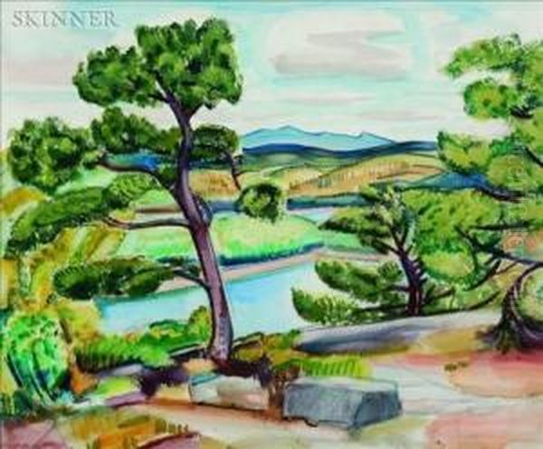 Walker Pond, Looking East Toward Caterpillar - view 1