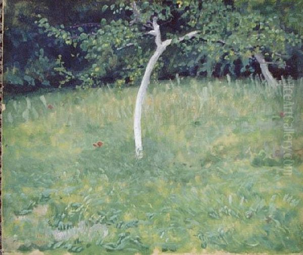 Pejzaz Z Jablonia (1928) - view 1
