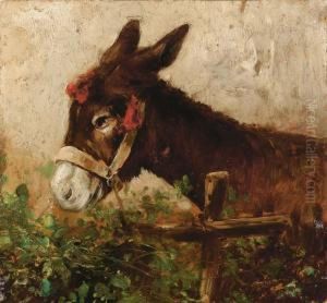 Asinello by Gaetano D'Agostino