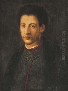 Portrait D'alexandre De Medicis by (Jacopo Carucci) Pontormo