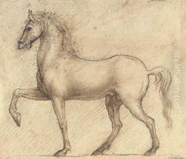 A Horse In Profile To The Left - view 1