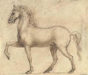 A Horse In Profile To The Left by Cesare da Sesto