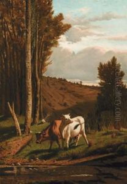 Mucche - view 1