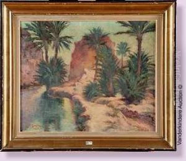 Coin D'oasis A Biskra (algerie) - view 1