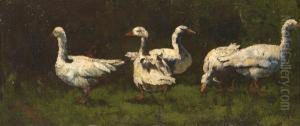 Study Of Geese
