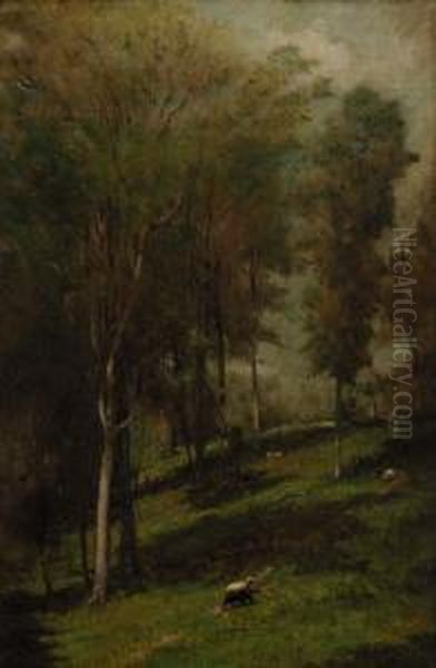 Sheep Grazing In Woodland - view 1