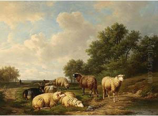 Sheep Resting In A Summer Landscape - view 1