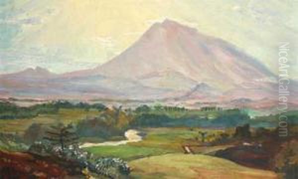 Landscape - view 1