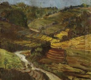 Hilly Landscape