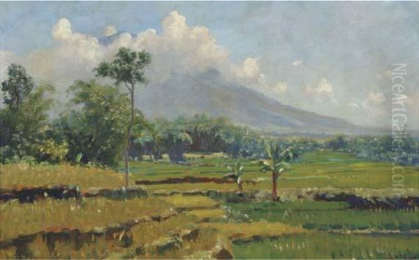 Landschap In West Java (gedeh) - view 1