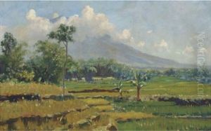 Landschap In West Java (gedeh)