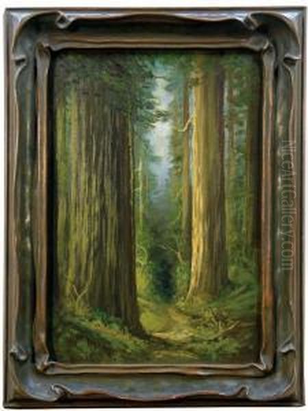 Redwood Grove - view 1