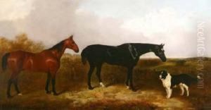 Lubinand Cobbler With Dog In Extensive Landscape With Town In Far Distance by John Dalby