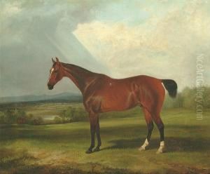 "badger" - A Chestnut Hunter In A Landscape, Other Horses Beyond