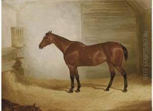A Bay In A Stable by John Dalby