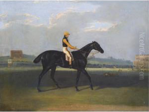Angler, A Dark Bay Racehorse With Jockey Up - view 1
