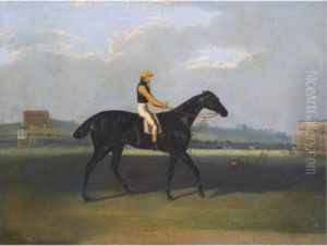 Angler, A Dark Bay Racehorse With Jockey Up by David of York Dalby