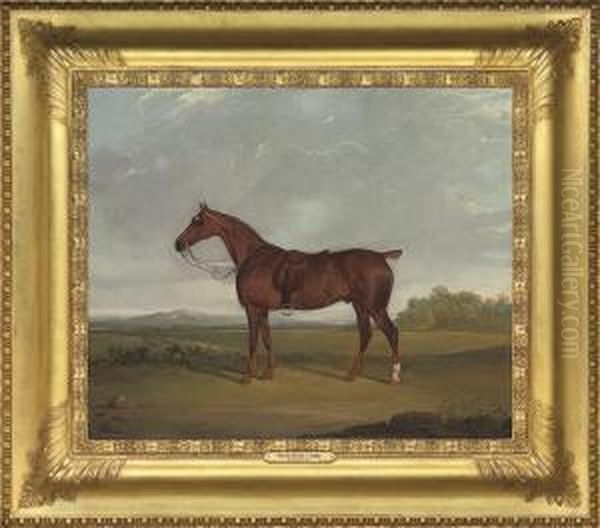 A Bay Hunter In A Landscape by David of York Dalby