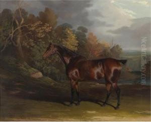A Bay Hunter In A Sylvan Landscape