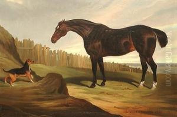 'betsy, 22 Years Old 1834'. - view 1