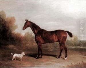A Chestnut Hunter With A Terrier